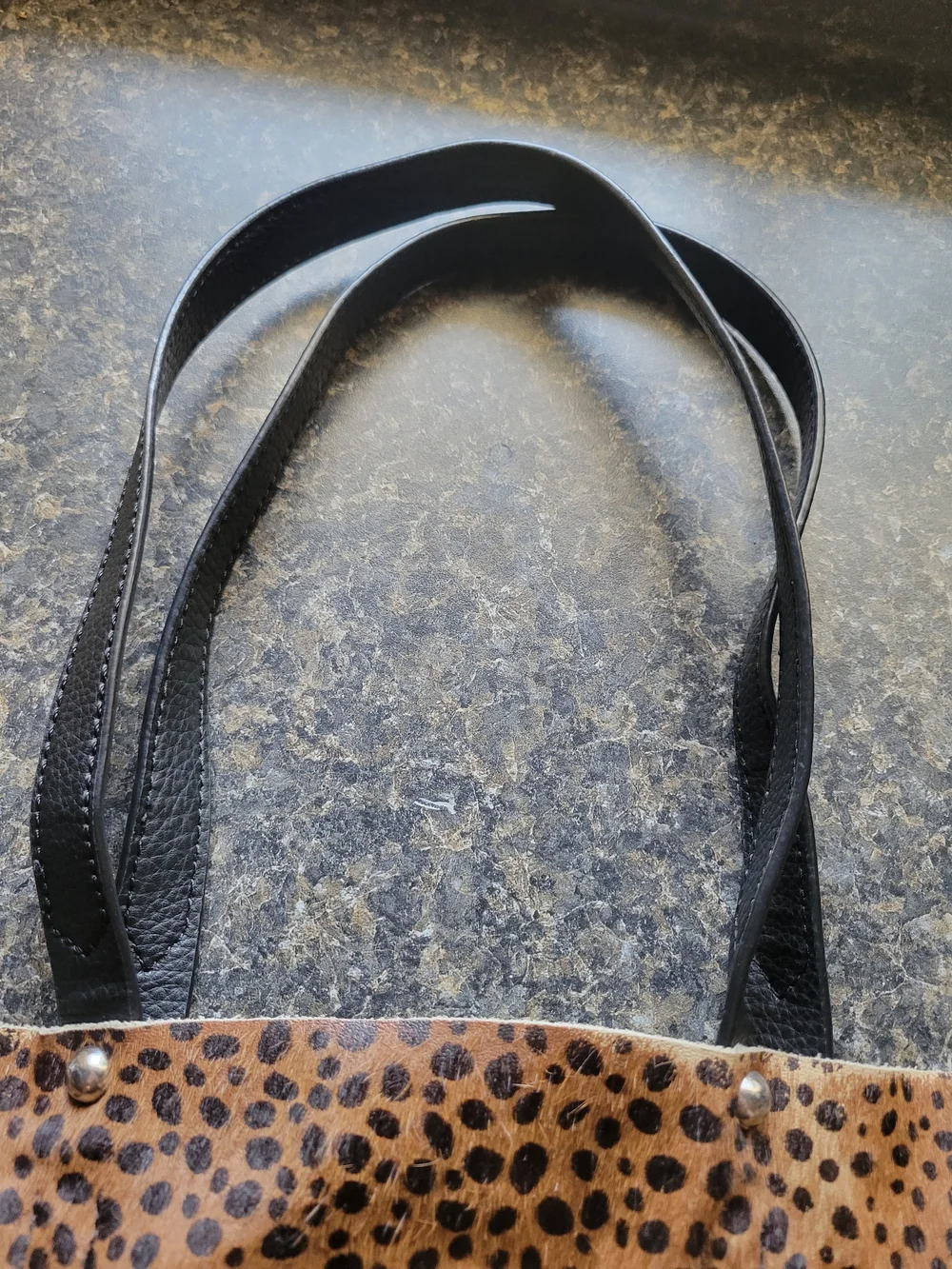 Sanctuary Leopard-Print Hobo with Black Trim